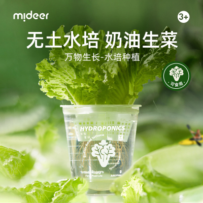 弥鹿(MiDeer)种植菜儿童植物观察科学实验小套装儿童种植材料万物生长系列水培生菜小小植物观察员种植盲盒种植阳光房