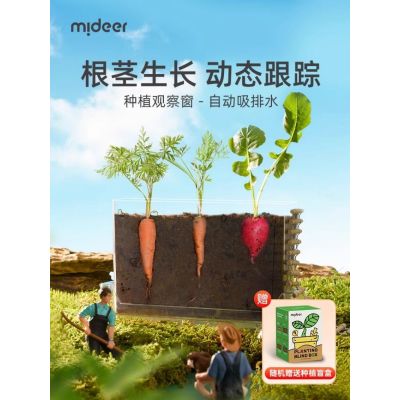 弥鹿MiDeer阳光房种植菜儿童植物观察种植材料小小植物观察员2724