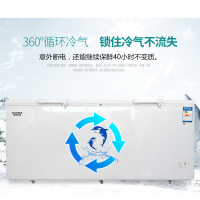 澳柯玛 BC/BD-730 730升 四级定频直冷 冷藏冷冻转换 卧式冷柜 (计价单位:台) 白色