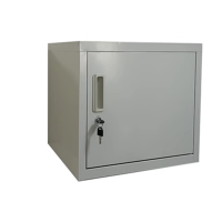 钢制食品添加剂专用柜空柜带锁 宽45深40高40CM 货期2天