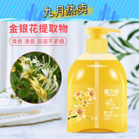 隆力奇 蛇胆洗手液 500ml *2瓶(节假日不发货)