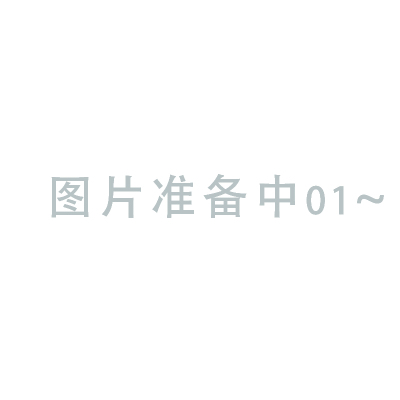 利晟 磨刀石SM-03(块)