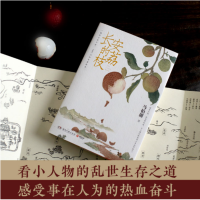 《长安的荔枝》