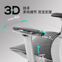 人体工学椅 P2 Pro