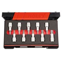 HOFFMANN/霍夫曼 适用于Torx® 1/2 英寸方头的螺丝起子批头套装 10件套 639528 10 1套