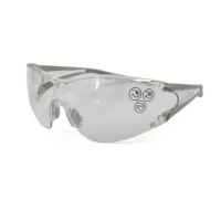 DELTA/代尔塔 101128 防雾防刮擦 EGON防护眼镜 副