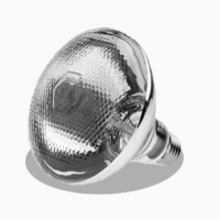 保温灯泡 250W 货期3天 单位:个 起订量10个