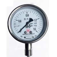 全不锈钢耐振压力表 径向 测量范围-0.1-0.06表盘直径100mm 螺纹M20*1.5精度1.6级单位:个 货期7天
