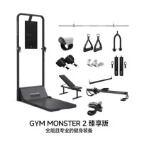 速境 多功能一体机龙门架 GYM MONSTER 2.0臻享版 单位:套 货期7天