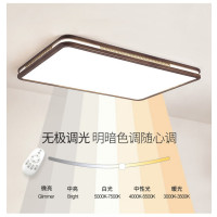 欧普 客厅吸顶灯,无极调光 外形尺寸95x65cm 售卖单位:个
