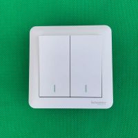 施耐德电气/SNDDQ 畅意系列二位跷板式双控面板开关 A3B32 2A 10AX 250V 售卖规格:1个