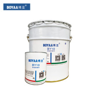 博亚(BOYAA)BY10 高效防腐剂 12kg