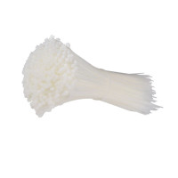 盾邦 尼龙扎带 1包 自锁式 4mm*200mm 500条/包 41S9653