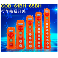 行车按钮开关 COB 64BH 9位 单位:个 货期15天