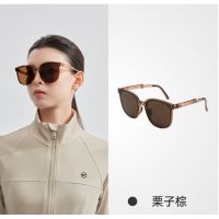 VVC 零压折叠太阳镜—栗子棕 VTY5S787 单位:个