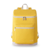 外交官 双肩包 HM-5152L浅黄配灰 单位:个 货期3天 YC