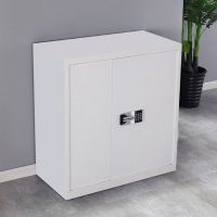 优企 文件柜办公保密柜钢制柜 900*430*955 个