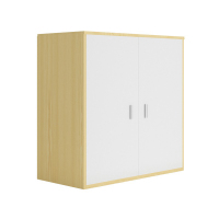 优企 时尚简约储物文件柜 1200*550*1200mm 个