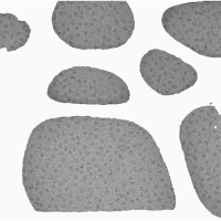 SKU 超薄碳支持膜 超薄碳膜 超薄微栅碳支持膜 TEM 超薄碳膜 200目 100片/盒 无维保 货期7-10天