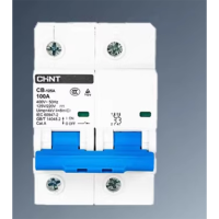 正泰 直流空气开关 CB-100A 2P 无维保 货期7-10天