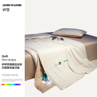 伊伊爱 裸睡级亲肤双面触感夏凉被 YLF25004 单位:条