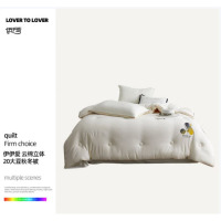 伊伊爱/云棉立体20大豆秋冬被200*230cm/5.5斤/BZ0TDC2401314/条