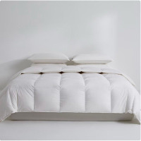 伊伊爱/纯色90鸭绒被芯200*230cm总重1750g/BZ0JD02201110/条