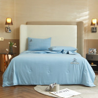 弗切尔珀榕/甄柔棉雕花艾米熊系列大豆夏被/FTDC220418/条