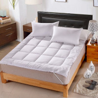 伊伊爱/交织棉床褥垫床上用品床垫/YJDYD25245/个