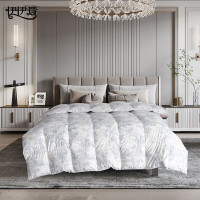 伊伊爱/水墨风情羽绒被/BZ0YM02401148/条