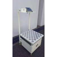 嘉锦 承重电子秤工作台 JWS-100H-A 含安装 带回写功能 维保1年 货期25天左右