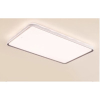 欧普照明 品见4 智控款客厅灯 白灰 不含安装 单位:盏 货期7-10个工作日