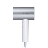 德世朗 电吹风 106DDQ-CF822 单位:套