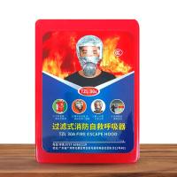 防毒面具消防防火防烟面罩3c过滤式自救呼吸器火灾逃生全面罩 蓝色封面