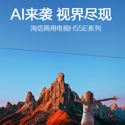 海信 55H55E 55英寸 超高清4K智能液晶平板电视商用家用电视(含挂架)