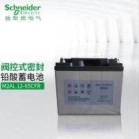 施耐德UPS电源铅酸蓄电池M2AL12-65CFR(含回收/铜条/安装/调试)