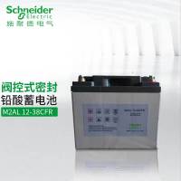 施耐德CFR铅酸蓄电池M2AL12-38CFR (含回收/铜条/安装/调试)