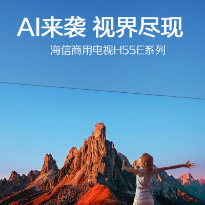 海信(Hisense)65H55E 65英寸超高清4K智能液晶平板电视 家用商用电视