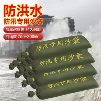 盾守防汛沙袋 防汛专用沙袋物业消防地下室防水挡水帆布30*70cm10个装 不含沙