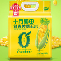 十月稻田 [2024 新玉米上市]东北玉米 鲜食 黄糯玉米1.32kg 220g*6根
