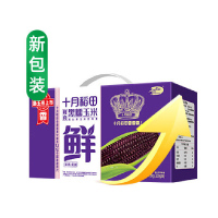十月稻田 鲜食黑糯玉米 3.2斤(200g*8根)东北紫玉米花青素年货礼盒