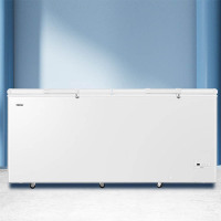 海尔BC/BD-629GHEP顶开门冰柜