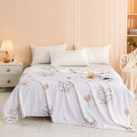 多喜爱(Dohia)夏凉被 亲肤磨绒蒂娜蚕丝复合夏薄被S码-152*218cm