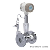 迅尔仪表(ure)涡街流量计型号LUGB-VT405/1/50/2/Z/15/N/N/FJ DN50