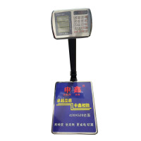 申鑫 TCS-300型电子落地秤台秤 承重:300KG