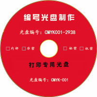 s02 DVD/CD 圣率光盘/刻录盘 4.7GB 企业定制 CD空白光盘(单版打印)1000片