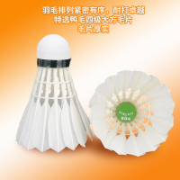 羽毛球 训练比赛用球12只装1筒804