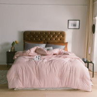 伊伊爱BZ0LFS2201113 提花大豆春秋被约3斤150*200cm(单位:条)