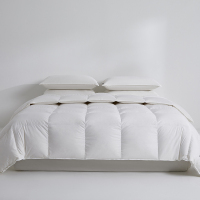 伊伊爱BZ0JD02201110纯色90鸭绒被芯200*230cm总重1750g (单位:条)