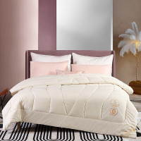 伊伊爱BZ0XD02201137奇迹羊毛被约4.2斤200*230cm(单位:条)